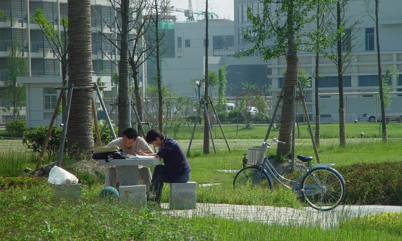 啬园校区主干道侧小园